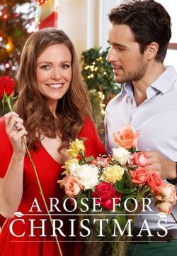 Una rosa per Natale