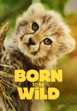Born to Be Wild - Stagione 1