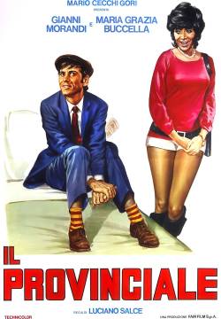 Il provinciale