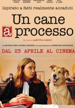 Un cane a processo
