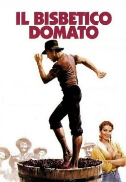 Il bisbetico domato