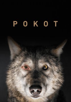 Spoor - Il Sentiero