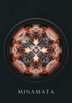 Il caso Minamata