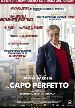 Il capo perfetto