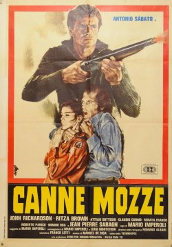 Canne mozze